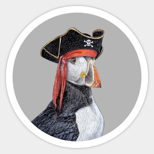 Atlantic puffin Sticker